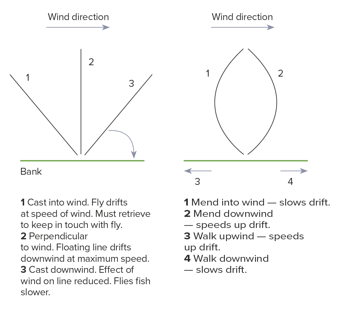Effects of wind diagram